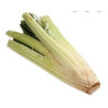 CARDO S/N