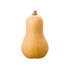 CALABAZA DEL CACAHUET/N