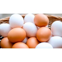 Huevos y pastas